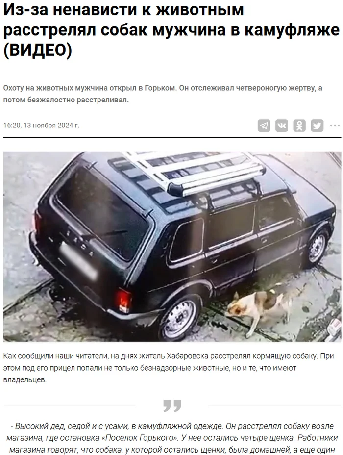 Dirty work of a dog hunter, zooschizophrenia! - Stray dogs, Dog attack, Khabarovsk, Screenshot, news, Catching, Dog, Shooting, Doghunters, Video