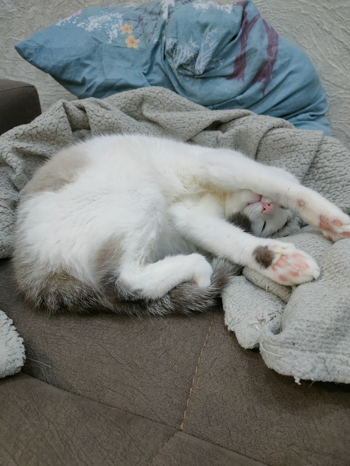  , , ,  , , 