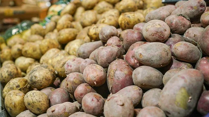 Russian authorities have decided to purchase potatoes from friendly countries - My, Politics, Inflation, Economy, Russia, Rise in prices, news, State, Score, Supermarket, Officials, Potato, Butter, Butter, Money