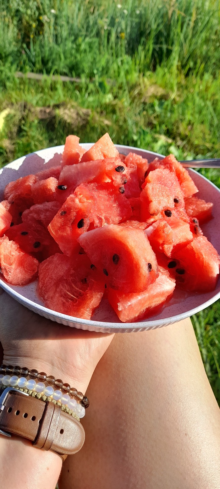 Простые моменты из жизни простого человека) Деревня, Мобильная фотография, Коза, Природа, Жизнь, Момент, Видео, Вертикальное видео, Длиннопост, Собака