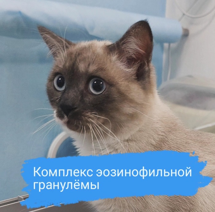    :    , , , , 