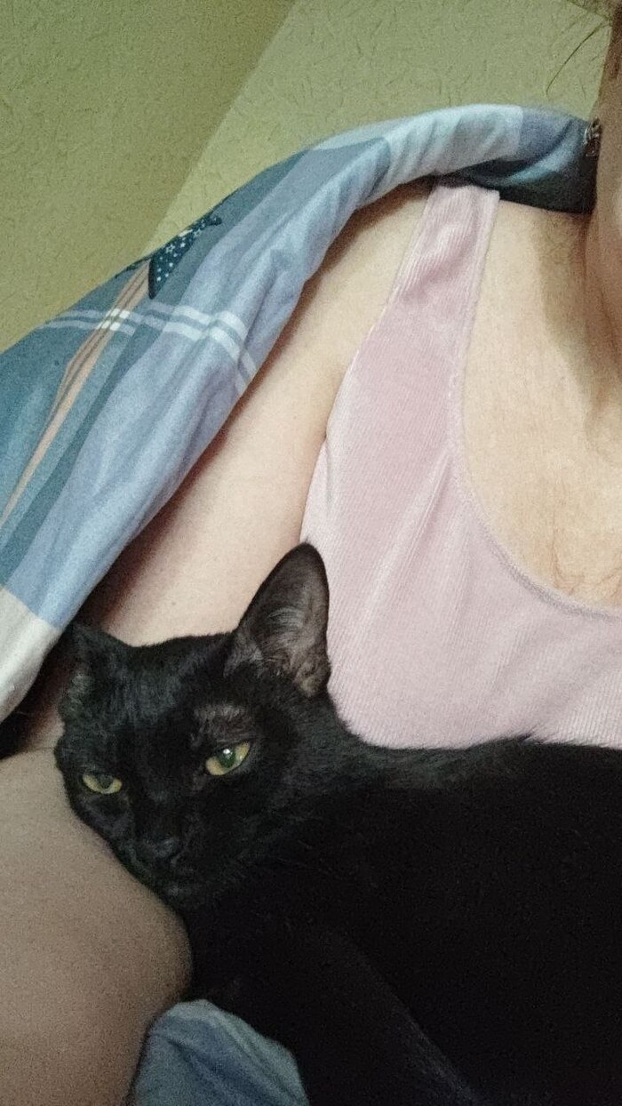 ������� ���� ������ - ����������� ))) ������ ��� ��� ��� ���� ������