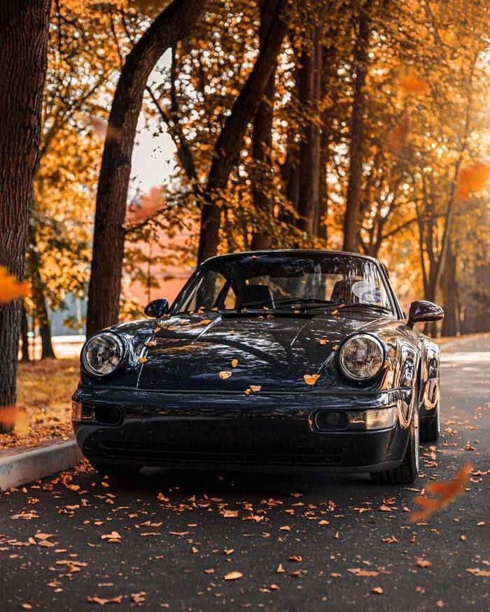 Porsche 964 - Porsche, The photo, Autumn, Auto