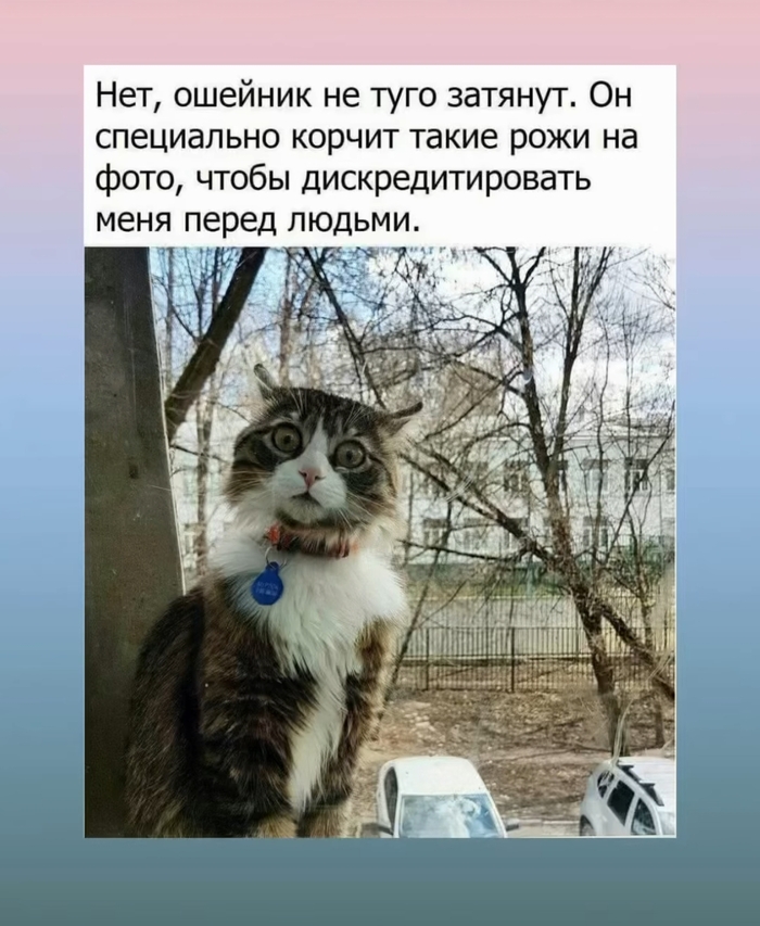     ,  , , , ,  ,   