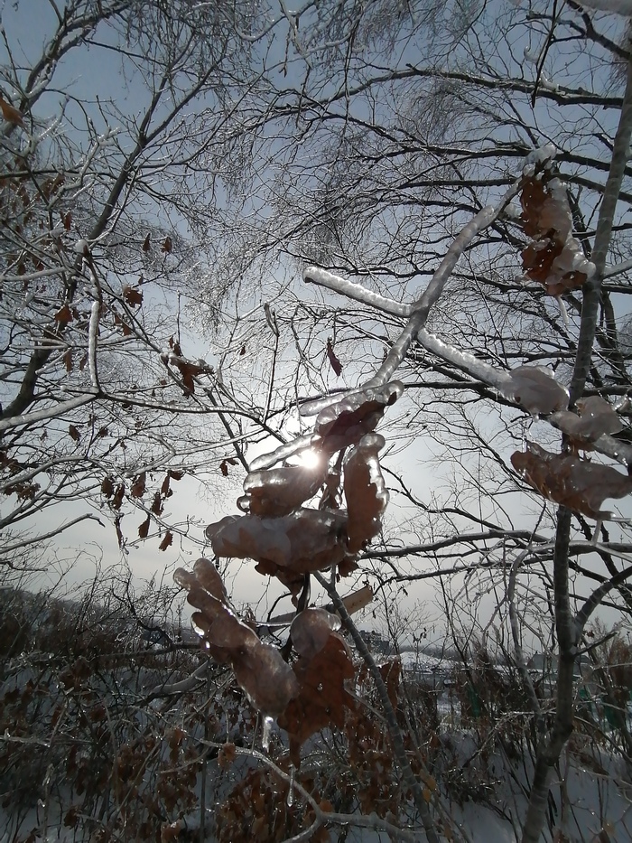 Солнечный день