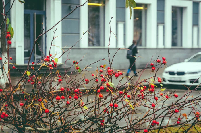 Kemerovo, st. Spring - My, The photo, Town, Street photography, The street, Kemerovo, Autumn