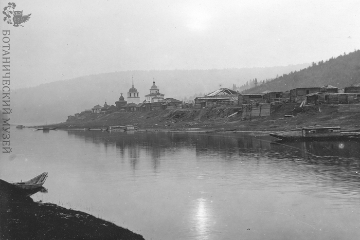 С.Е.Кучеровская, Сибирь, Иркутская губерния, город Илимск на Илиме 1911 год. Экспедиция Переселенческого управления. Коллекция негативов и фотографий Ботанического музея БИН РАН.