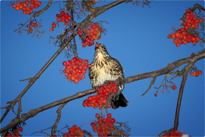 Кстати, моя любимая песня – это про третье сентября. Там, где костры рябины горят!