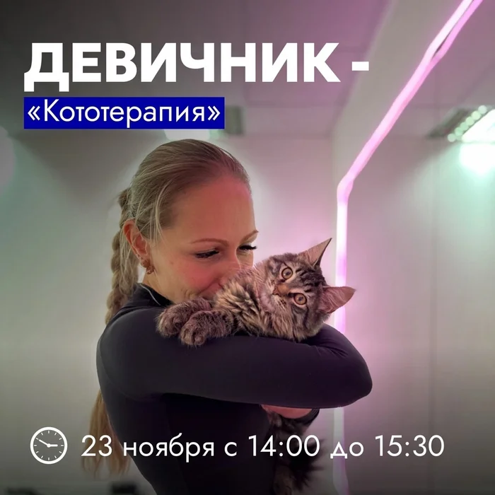 Пилатес с кошками - Саранск, Пилатес, Йога, Помощь животным, Фитнес, Погладь кота, ВКонтакте (ссылка)