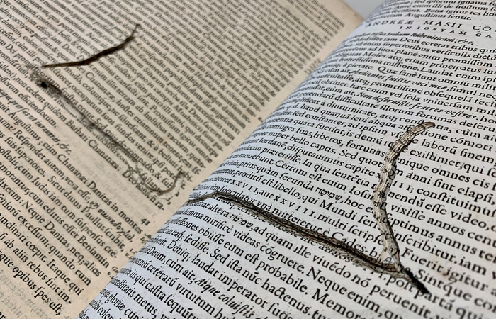 ,      ,     .              .