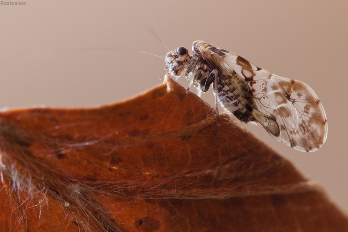  .  ,  ,        .      !