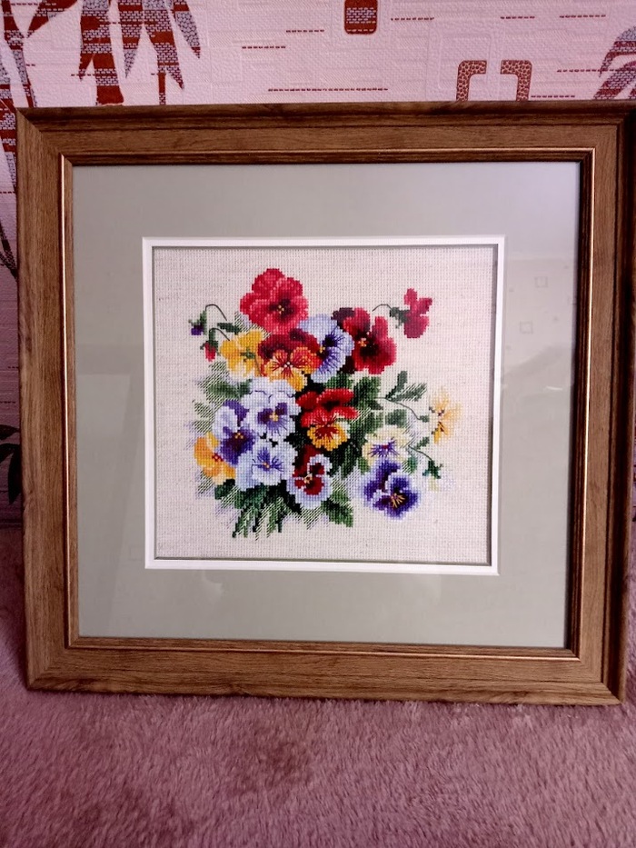 Пестрые анютки