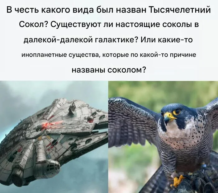 I am tormented by a question - Picture with text, Memes, Millennium falcon