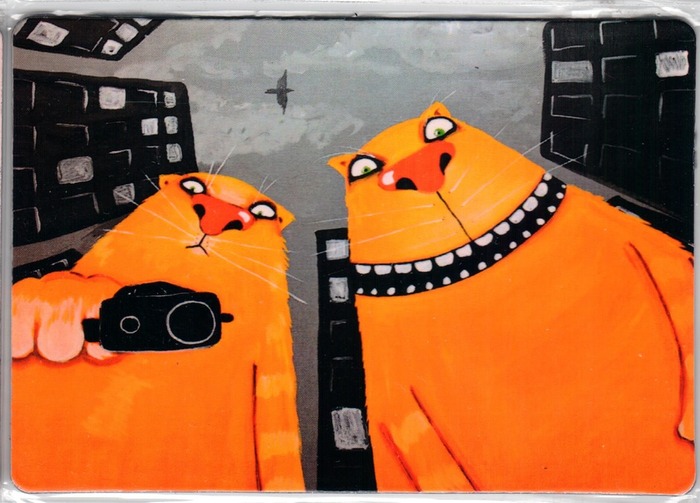  :   ,     .     Pikabu , , , , ,  ,  , ,  , , 