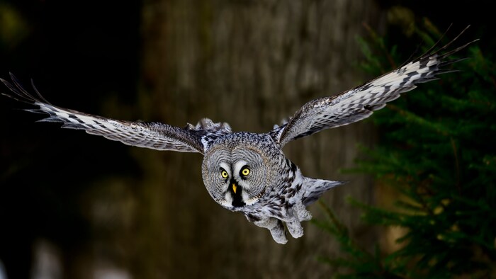       ,        .  ,  ,     )