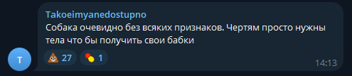 So-called animal rights activist beats up dog catchers in Kyzyl (Tyva) - Dog attack, Stray dogs, No rating, Society, Radical animal protection, Safety, Negative, Video, Vertical video, Longpost