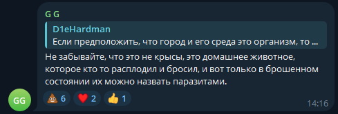 So-called animal rights activist beats up dog catchers in Kyzyl (Tyva) - Dog attack, Stray dogs, No rating, Society, Radical animal protection, Safety, Negative, Video, Vertical video, Longpost