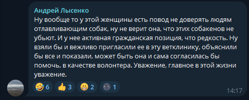 So-called animal rights activist beats up dog catchers in Kyzyl (Tyva) - Dog attack, Stray dogs, No rating, Society, Radical animal protection, Safety, Negative, Video, Vertical video, Longpost