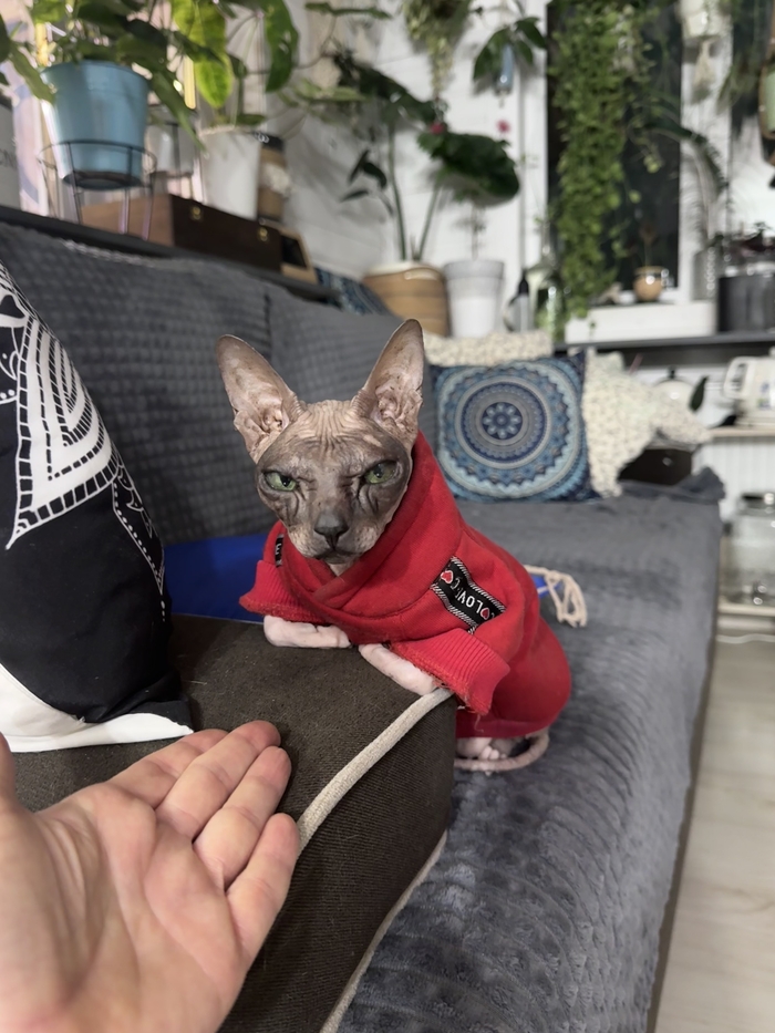 Я хотела придумать смешную подпись