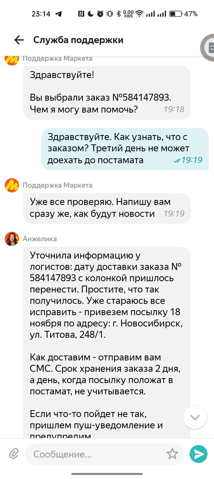 Who does support support? - My, Yandex., Yandex Market, Распродажа, Yandex Station, Longpost