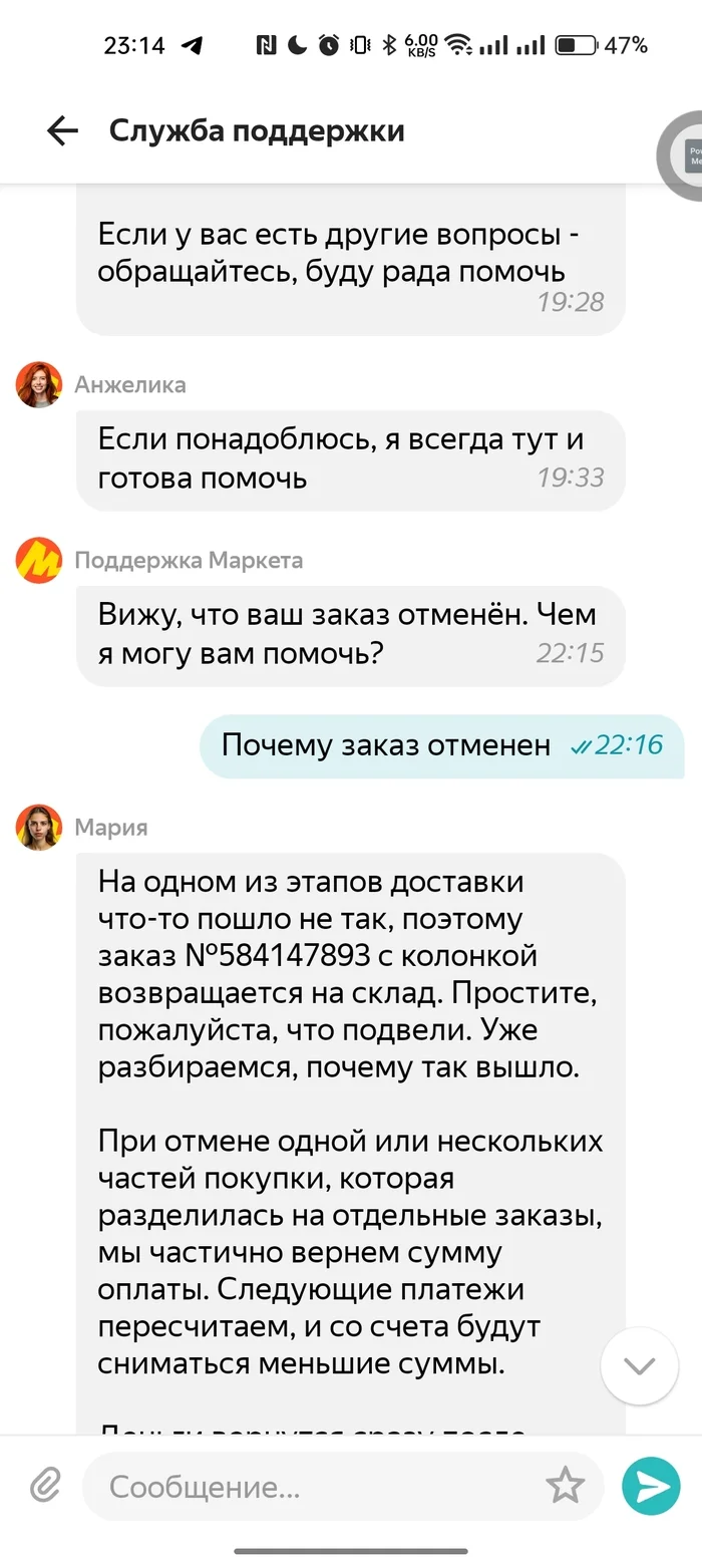 Who does support support? - My, Yandex., Yandex Market, Распродажа, Yandex Station, Longpost