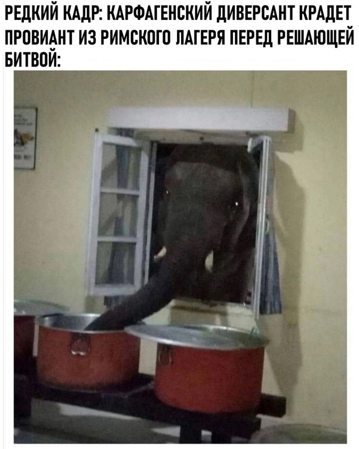    ) , ,  ,   , 