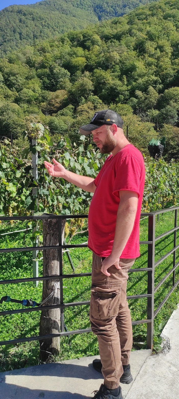 ������� ������� �� ...