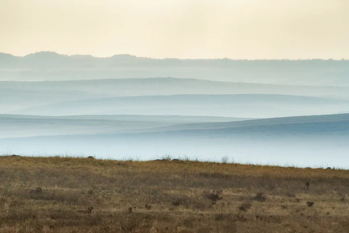 Distant horizons - My, Steppe, Rostov region, Landscape, Haze, Fog, Horizon, The photo