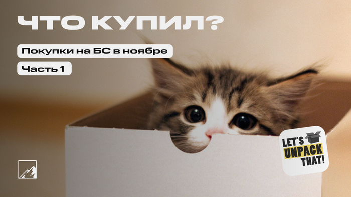 Доллар по сотке. Пополнил брокерский счёт на 238 000 в ноябре. Что купил? Часть 1