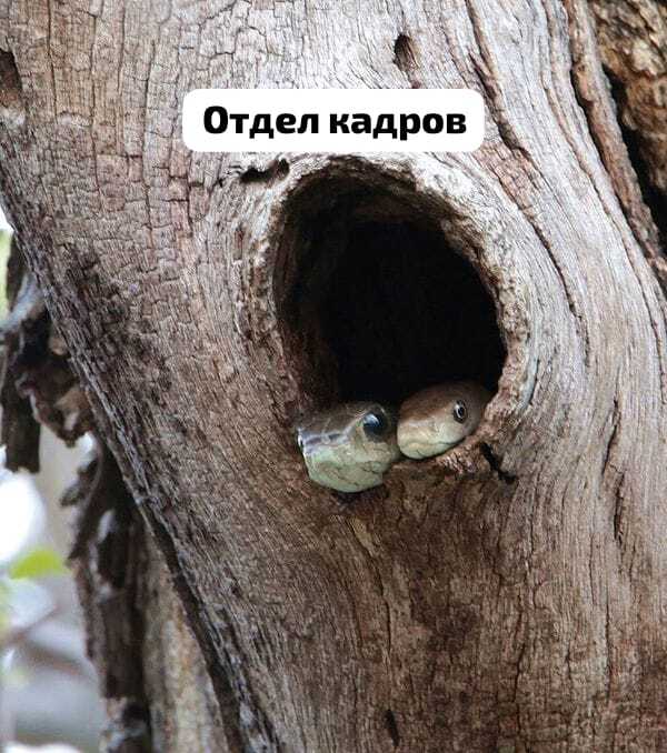          )) ,  , , , , ,   