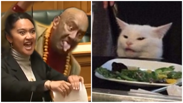        )