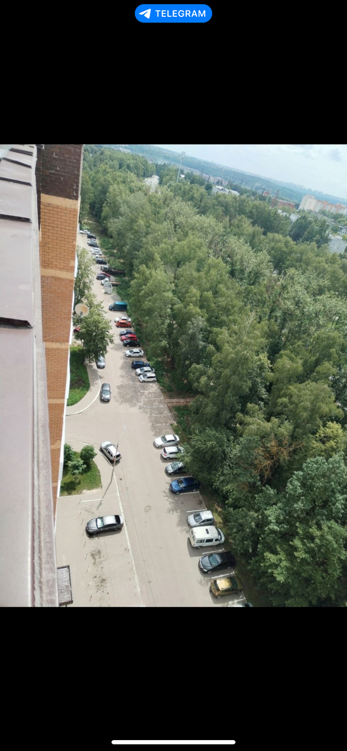 Вид из окна на аллею