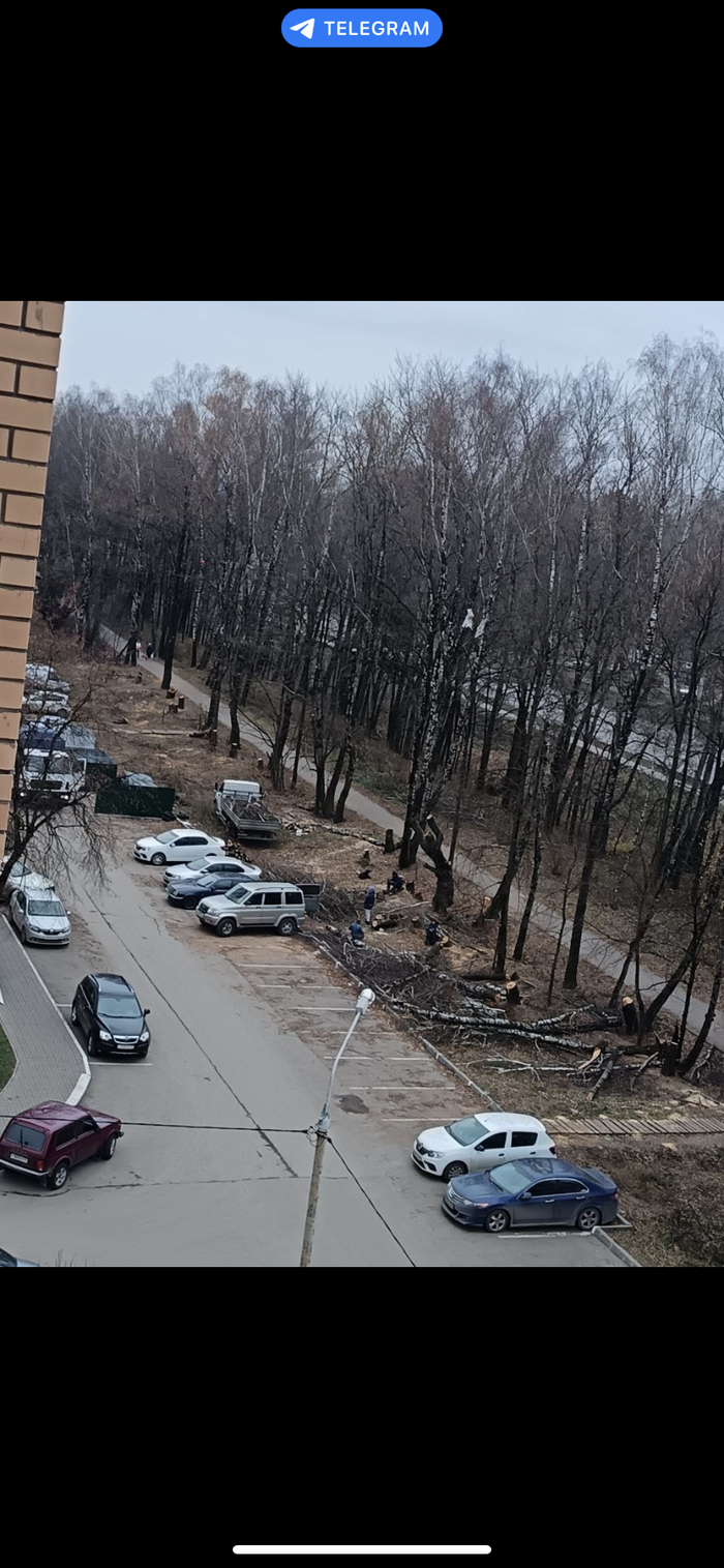 То, что происходит в данный момент (