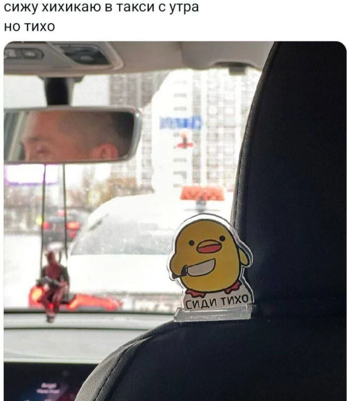 The odds of a duck threatening you with a knife in a taxi are small, but not zero. - Moscow, Humor, Taxi, Taxi stories, Rubber duck, Is sitting, Quiet, Knife, The photo, Strange humor