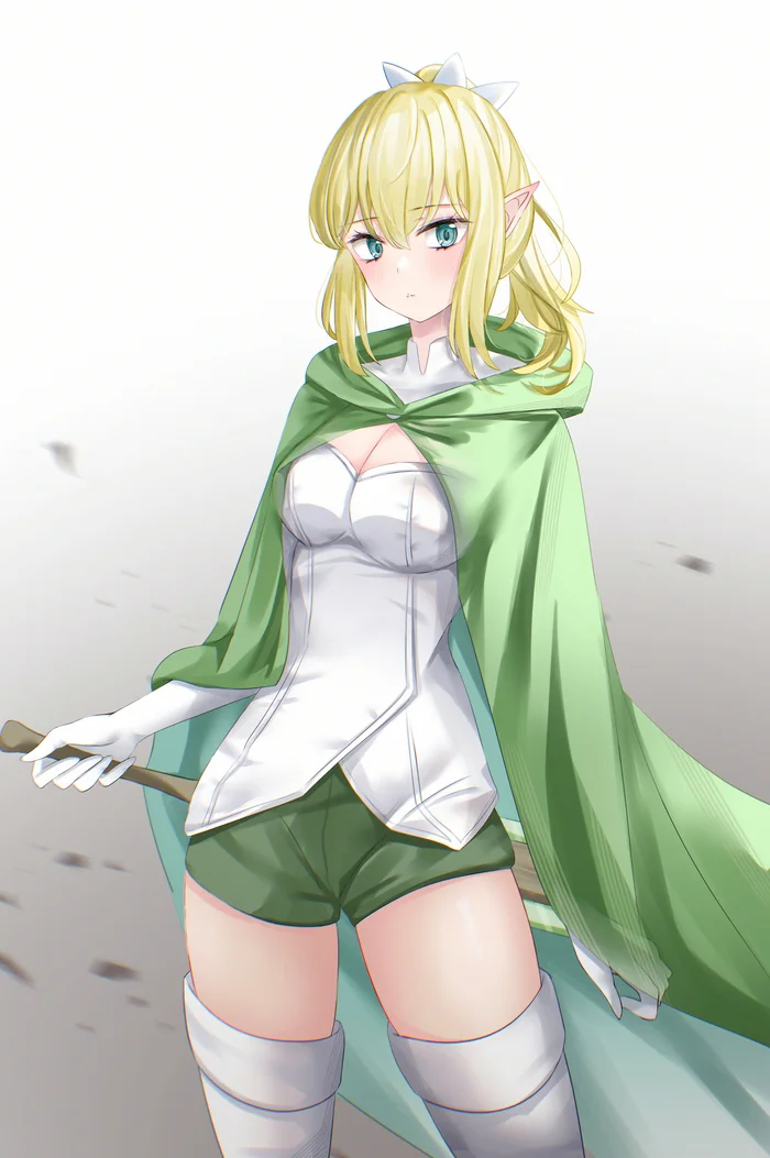 Ryu - Anime art, Pixiv, Anime, Elves, Ryu Lion, Danmachi, Longpost