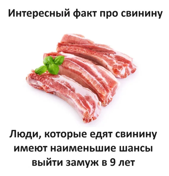 Benefit - Humor, Picture with text, Meat, Pork, Benefit, Telegram (link), Muslims, Religion