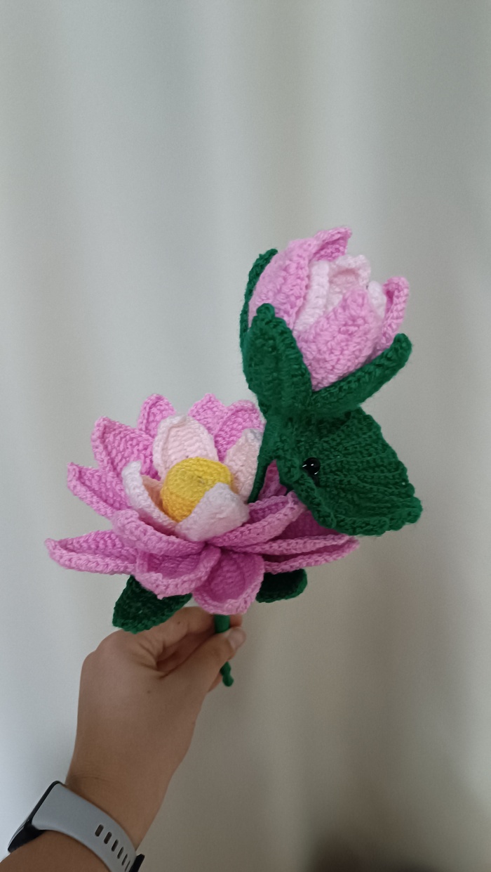 ������ ������ - ������