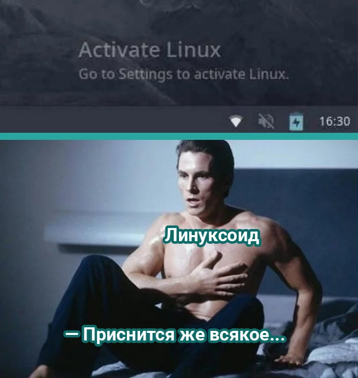 Страшный сон Торвальдса - IT юмор, Программирование, Программист, IT, Linux