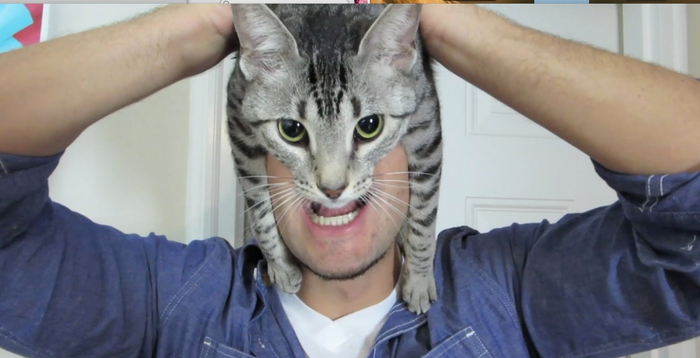 -!  :   ,   ,   .     !