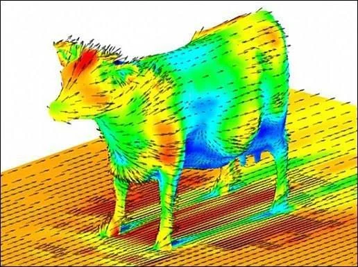 Maybe it will be useful to someone - Cow, Aerodynamics, Repeat