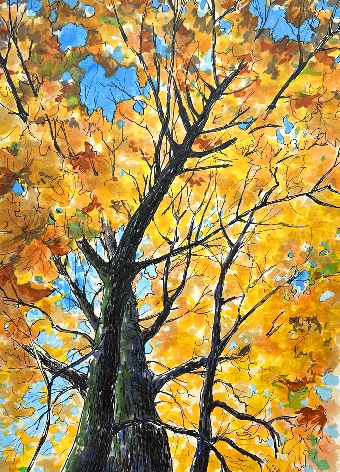 Maple with markers and liner - My, Art, Artist, Painting, Art, Saint Petersburg, Maple, Autumn, Autumn leaves, Tree, Longpost