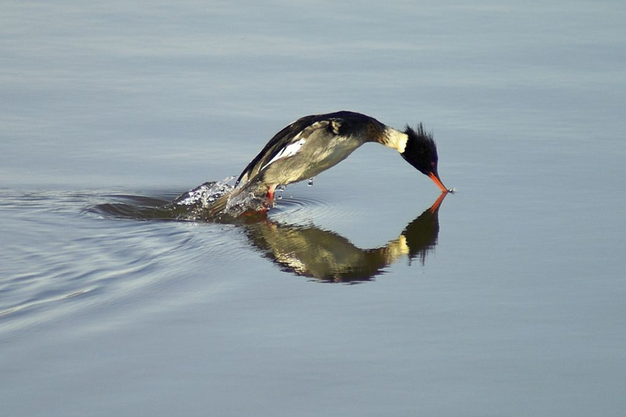 Был очень рад с тобой познакомиться, пока!