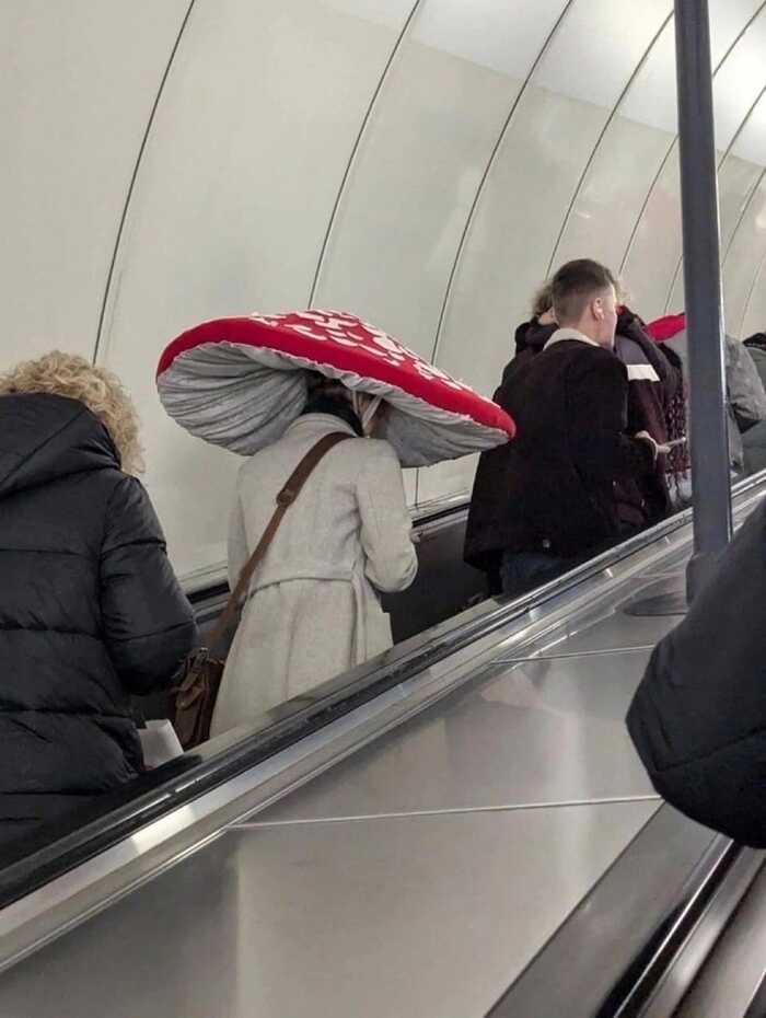 ������� �������� ��������� �������, ����� ��������� ���