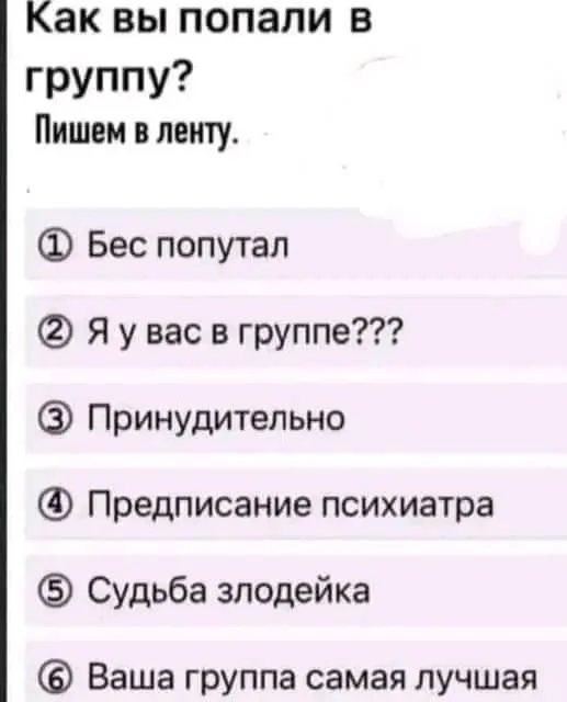 У меня предписание психиатра! - Юмор, Картинка с текстом, Картинки, Мемы, Милота