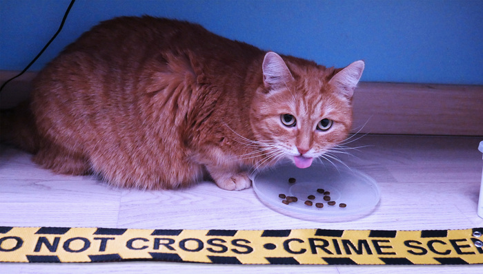 � ��� �� ���