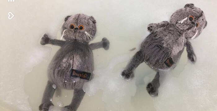 :  ". ()"  7703380158