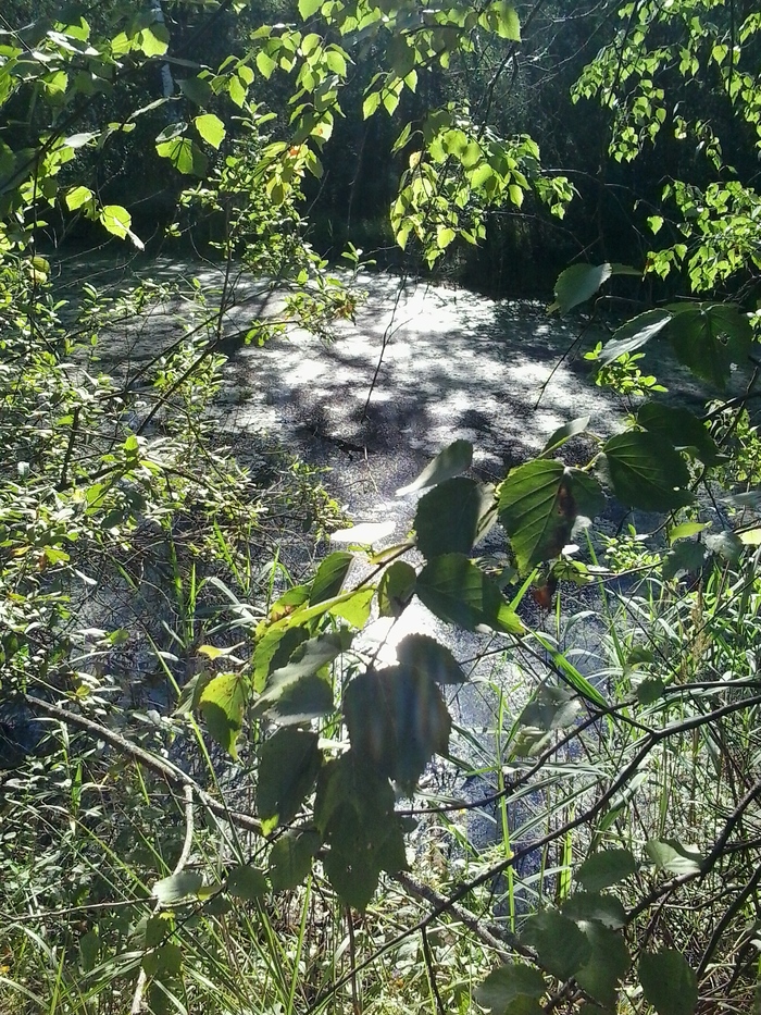 ������ ����� ������� ������. ����� �������� ��������� ��������� ����. ������� ���� � ����� �� ����������� ����.