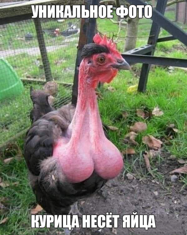 Невероятно!