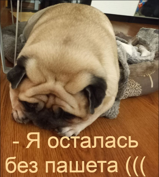 ������ �������� ��� ���...