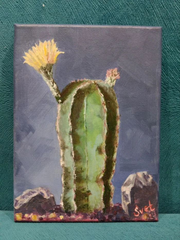 Mom's paintings - My, Hobby, Cactus, Houseplants, Oil painting, Author's painting, Artist, Plants, Canvas, Decor, Longpost, Painting, Painting